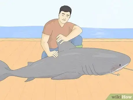 Imagen titulada Get over Your Fear of Sharks Step 6