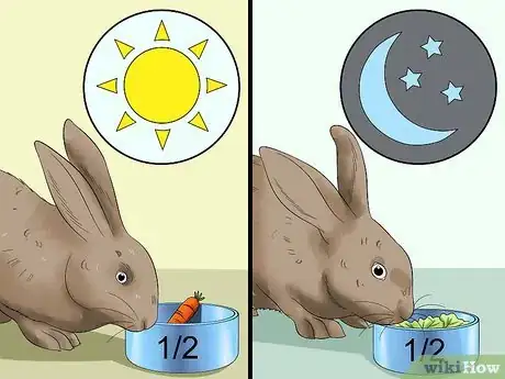 Imagen titulada Feed a House Rabbit Step 8