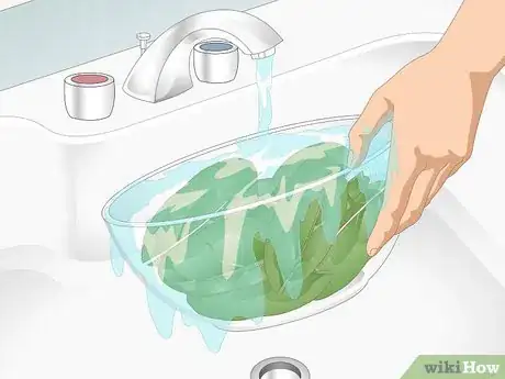 Imagen titulada Wash Spinach Step 6