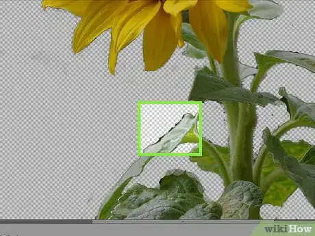 Imagen titulada Remove Background With Photoshop Elements Step 18
