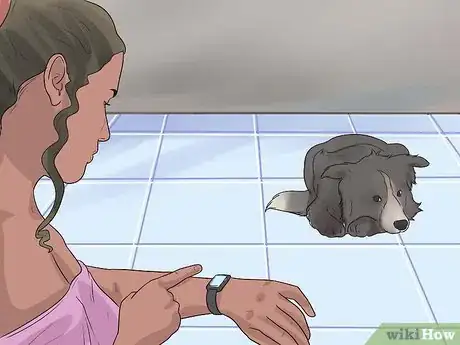 Imagen titulada Train Border Collies Step 7