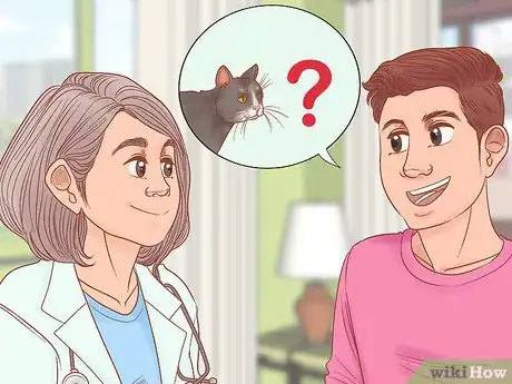 Imagen titulada Diagnose and Treat Stud Tail in Cats Step 14