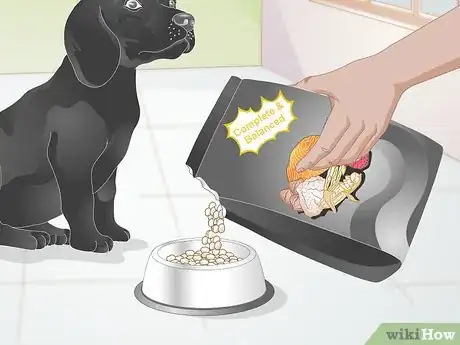 Imagen titulada Create a Feeding Routine for Your Dog Step 10