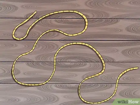 Imagen titulada Coil a Climbing Rope Step 1