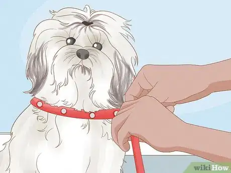 Imagen titulada Stop a Dog from Humping Step 4