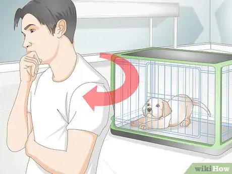 Imagen titulada Get Your Puppy To Sleep in Its Own Bed Step 7