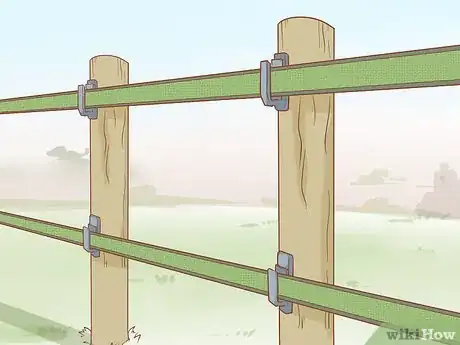 Imagen titulada Care for Cattle Step 5
