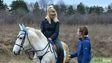 Imagen titulada Get Your Horse to Trust You Step 10