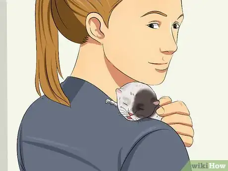 Imagen titulada Care for a Stray Kitten Step 8