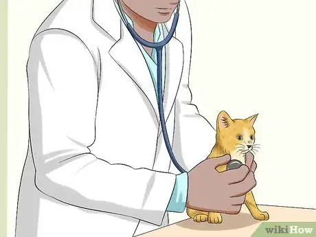 Imagen titulada Care for an Abandoned Kitten Step 3