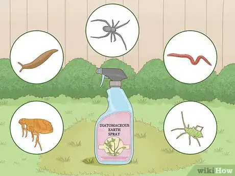 Imagen titulada Apply Diatomaceous Earth Step 6