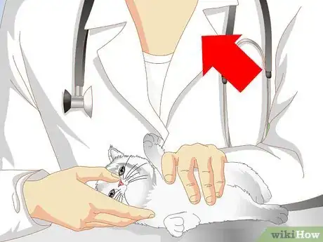 Imagen titulada Get Your Kitten to Eat Step 15