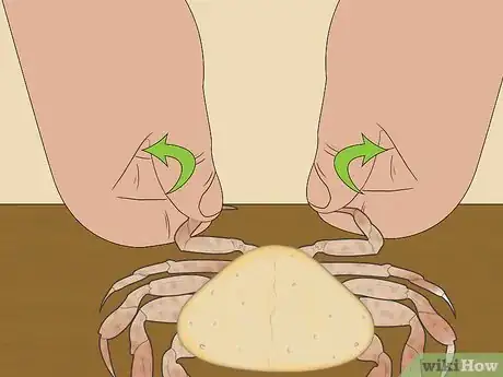 Imagen titulada Eat Dungeness Crab Step 12