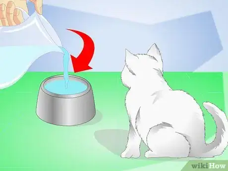 Imagen titulada Get Your Kitten to Eat Step 13