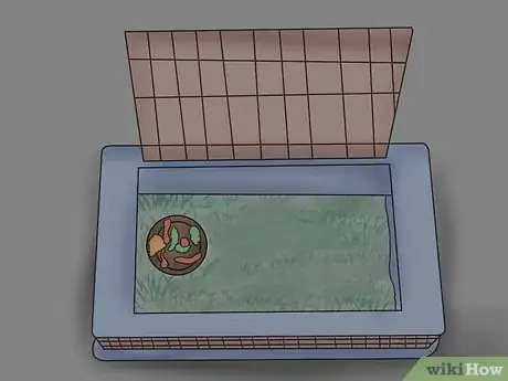 Imagen titulada Safely Transport Your Guinea Pigs in the Car Step 4