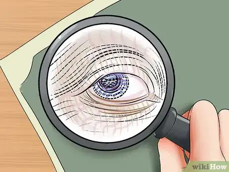 Imagen titulada Identify Prints Step 8