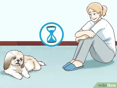 Imagen titulada Breed Shih Tzus Step 2