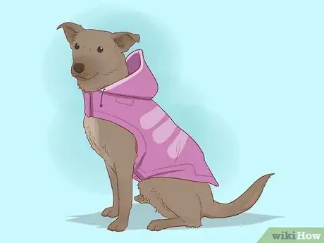 Imagen titulada Make Dog Clothes Step 7
