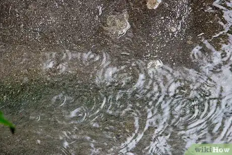 Imagen titulada Enjoy the Falling Rain Step 3