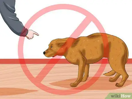 Imagen titulada Train Your Dog to Be Calm Step 5