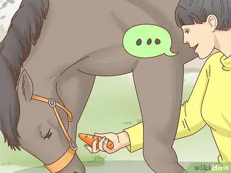Imagen titulada Teach a Horse to Bow Step 14