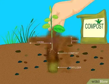 Imagen titulada Add Compost to Plants Step 10