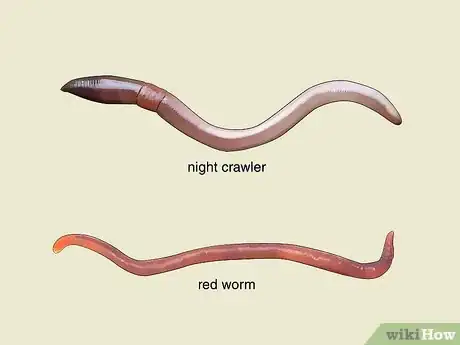 Imagen titulada Start a Worm Farm for Profit Step 4
