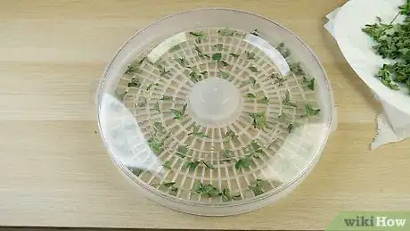 Imagen titulada Dry Oregano Step 10