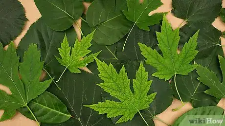 Imagen titulada Paint Leaves Step 2