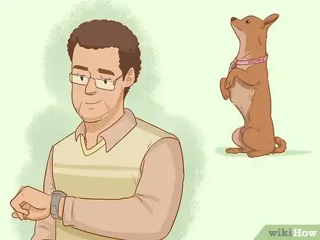 Imagen titulada Play With Your Puppy Step 1