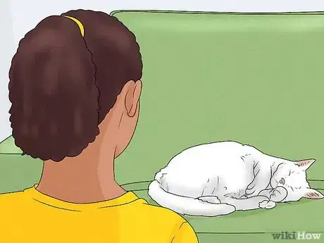 Imagen titulada Give Your Cat a Massage Step 6