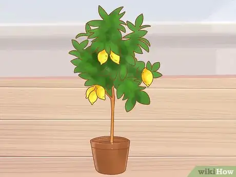 Imagen titulada Prevent Cats from Eating Plants Step 15