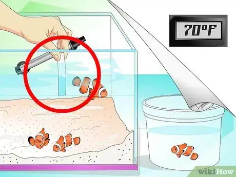 Imagen titulada Tell if Your Fish Is Sick Step 14