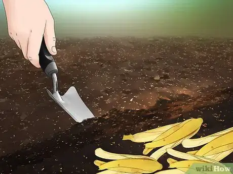 Imagen titulada Add Potassium to an Organic Garden Step 7