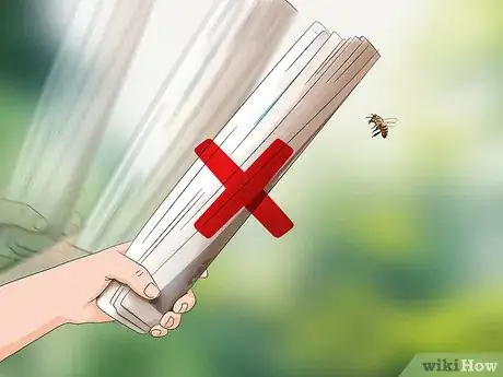 Imagen titulada Escape from Killer Bees Step 6
