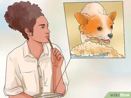 Imagen titulada Care for Your Chihuahua Step 4