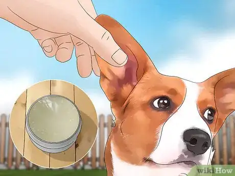 Imagen titulada Keep Flies Off Dogs Step 9