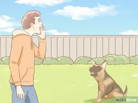 Imagen titulada Fight off a Dog Step 1