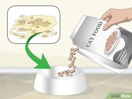 Imagen titulada Help a Vomiting Cat Step 2