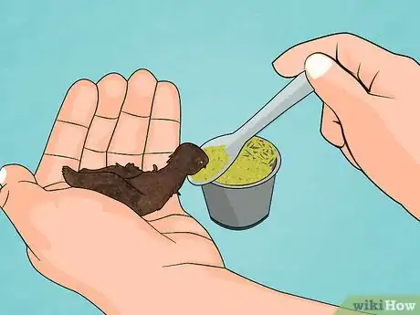 Imagen titulada Find and Take Care of Wild Bird Eggs Step 8