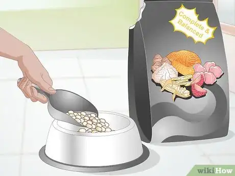 Imagen titulada Create a Feeding Routine for Your Dog Step 11
