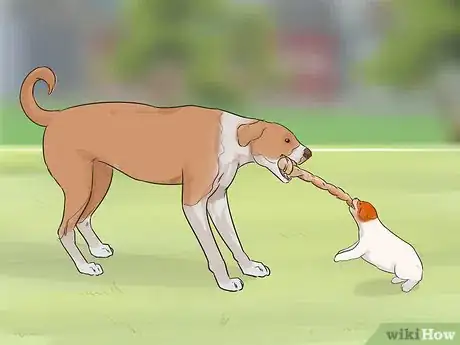 Imagen titulada Exercise a Mother Dog Step 11