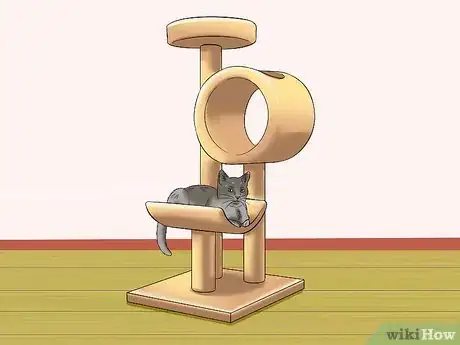 Imagen titulada Keep Cats off the Dinner Table Step 1