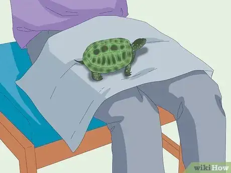 Imagen titulada Pet a Turtle Step 7