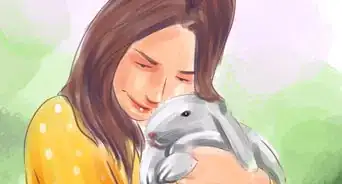cuidar mascotas
