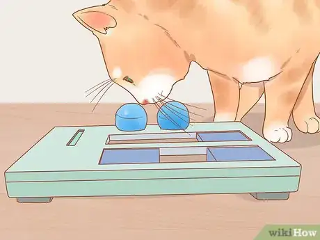 Imagen titulada Stop Your Cat from Begging Step 11