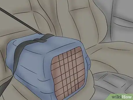 Imagen titulada Safely Transport Your Guinea Pigs in the Car Step 6