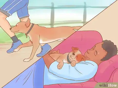 Imagen titulada Choose a Dog Step 7