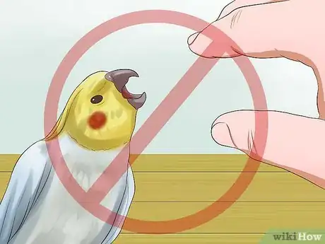 Imagen titulada Massage a Cockatiel Step 8