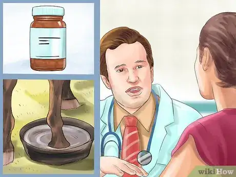 Imagen titulada Treat a Hoof Abscess in Horses Step 9